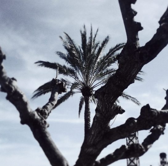 IMG_20150310_103955 copy