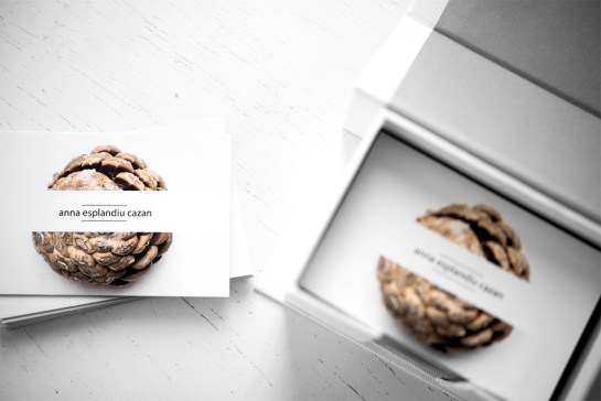 targetes_annaesplandiu_moo