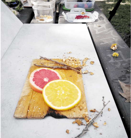 Taller de foto gastronòmica a l'EASD Serra i Abella, pels alumnes de 1 curs del cicle superior de Fotografia. Anna Esplandiu. Montse Abella.